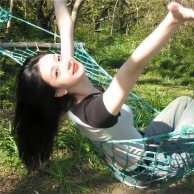 完美的独裁国家